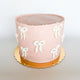 thumbnail for GF Friendly Chocolate Bow Cake