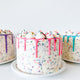 thumbnail for Sprinkle Party Cake