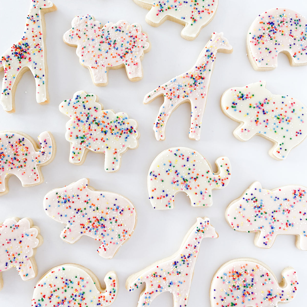 Circus Animal Sugar Cookie Set
