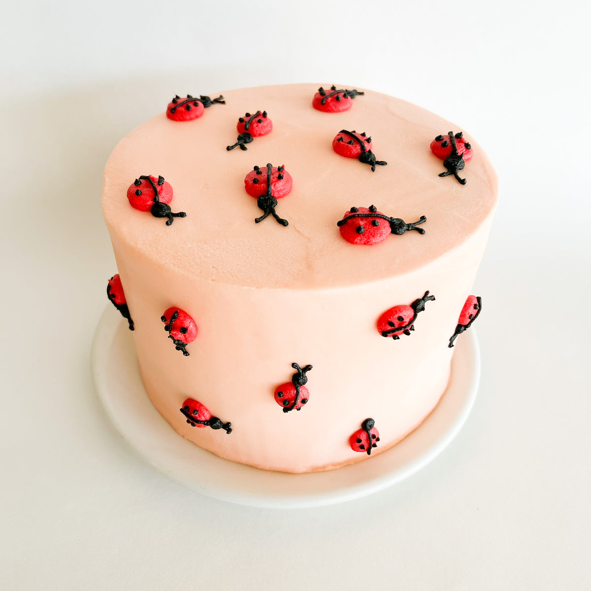GF Friendly Chocolate Lady Bug Cake
