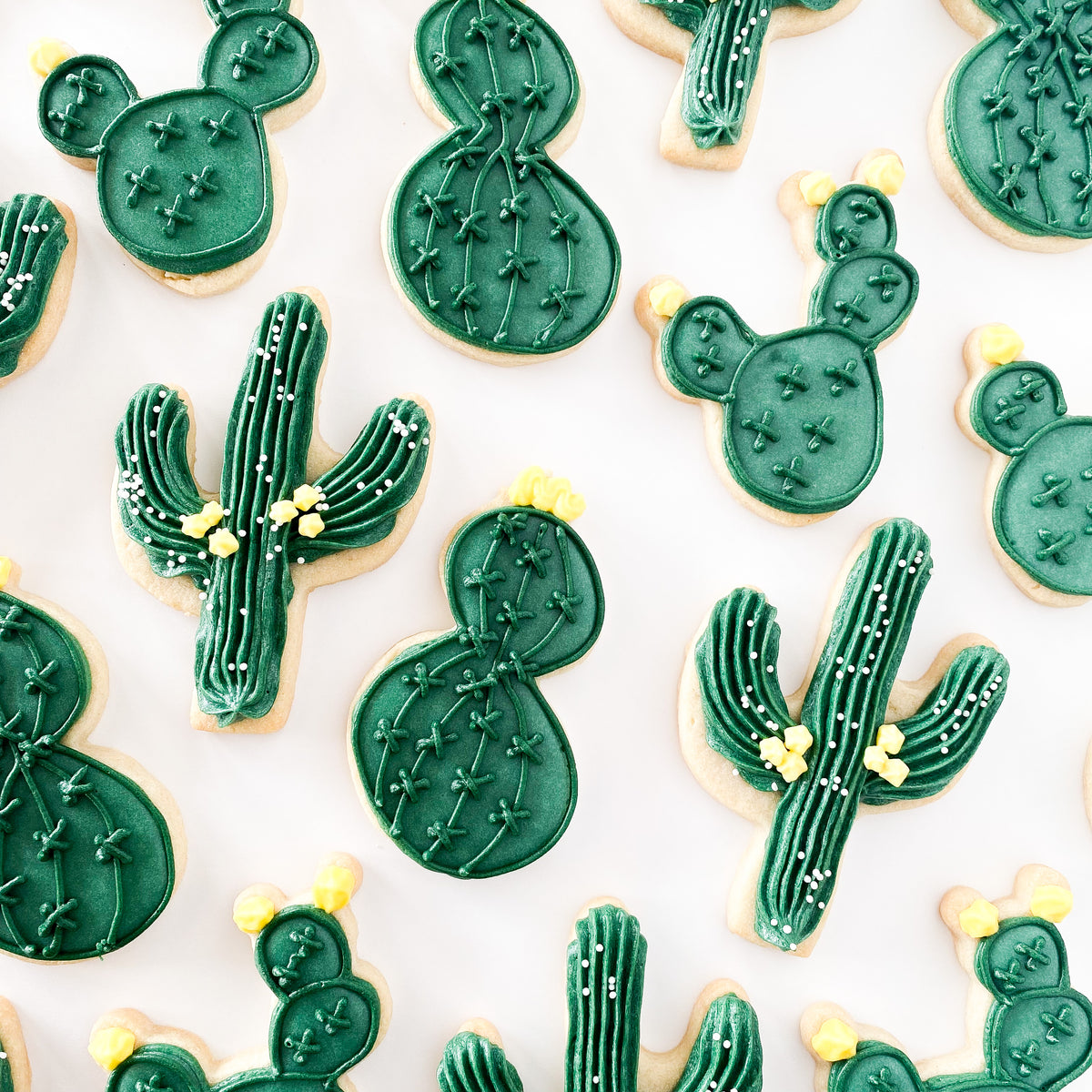 Cactus Sugar Cookie Set