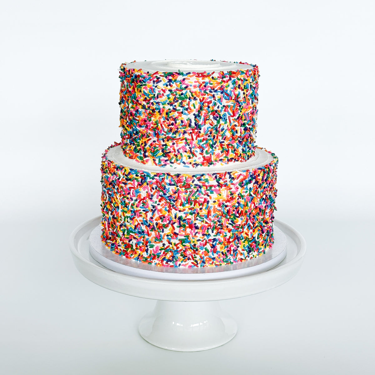Two-Tier Life of the Party Cake