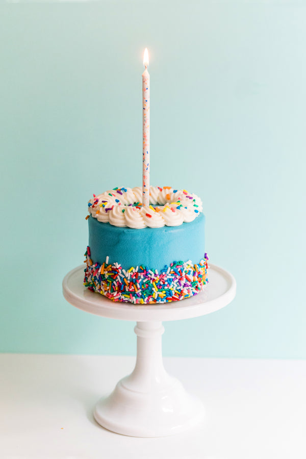 Sprinkle Birthday Party Cake