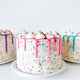 thumbnail for Sprinkle Party Cake