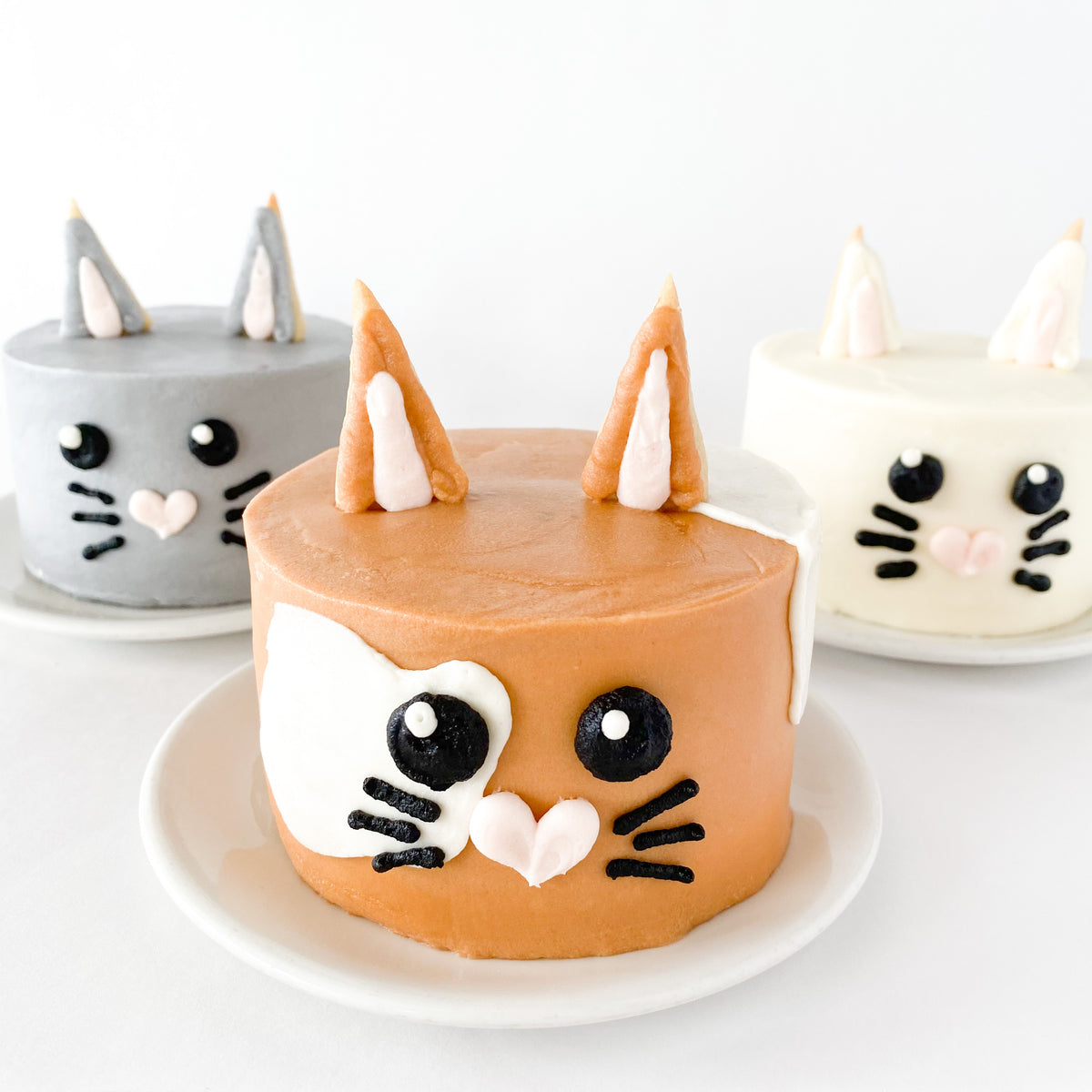 Kitty Cake