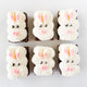 thumbnail for Bunny Classic Brownies