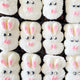 thumbnail for Bunny Classic Brownies
